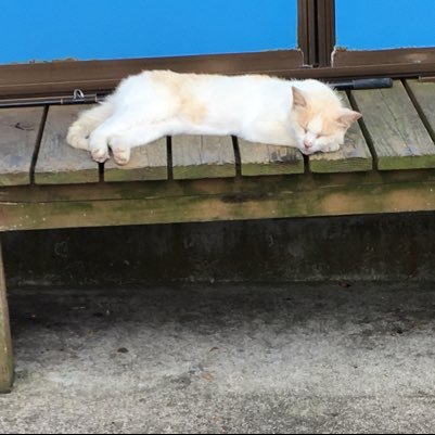 FNd4AuDLtgqx2dO's profile picture. 