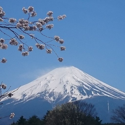 日本の民度を問う