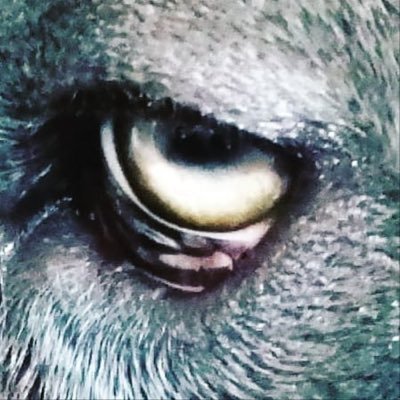 ingenieri2020's profile picture. 