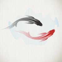 qicy (@qicy11) 's Twitter Profile
