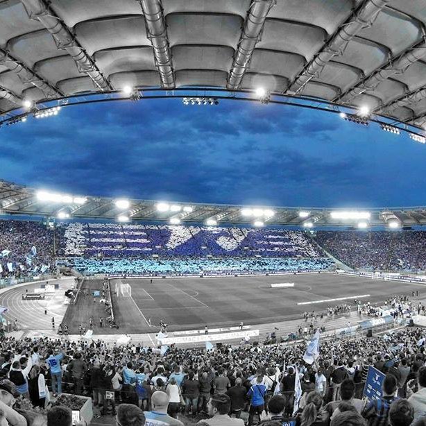 Nikola74439087's profile picture. 