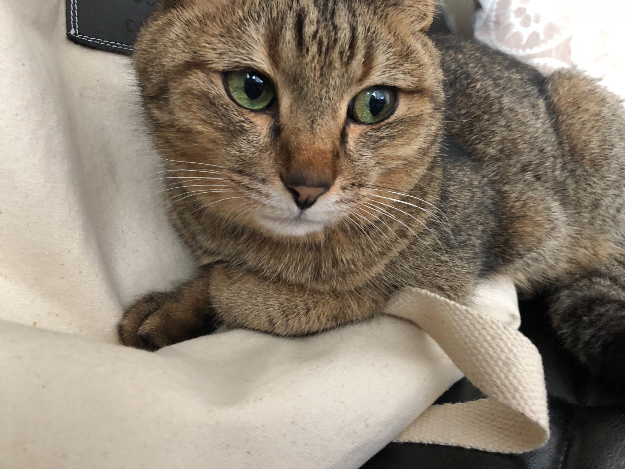 miyuさんのプロフィール画像