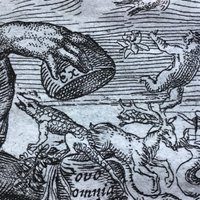 Rebecca Flemming (@flemmingrebecca) 's Twitter Profile Photo Rebecca Flemming (@flemmingrebecca) 's Twitter Profile Photo