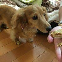 ケラー❤️あいぽん (@mikanarare) Twitter profile photo