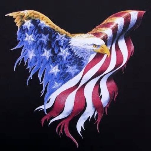 SarahReloaded's profile picture. #AmericaFirst 🇺🇸 #Conservative #Patriot #ProGuns #1A #2A #NRA #MAGA #CodeofVets #BuildTheWall #BlueLivesMatter #FeminismIsCancer