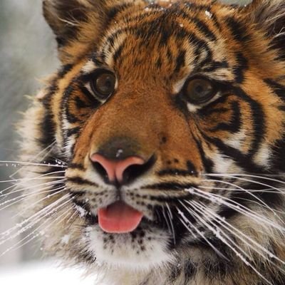 Therkolo's profile picture. yes I'm a gay guy/22/🥱🥱