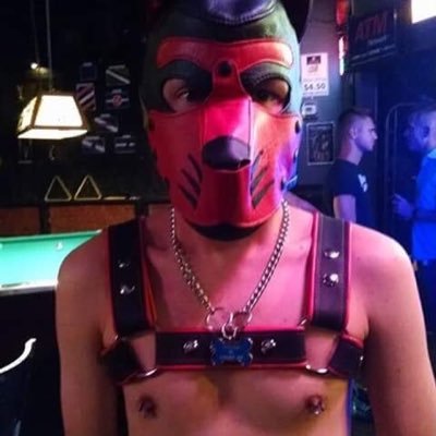 Hi my name is Will aka Pup Saint. I'm a human pup, leather boy, and also a cigar boy.