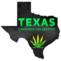 Texas Cannabis Collective (@txcannaco) 's Twitter Profile Photo Texas Cannabis Collective (@txcannaco) 's Twitter Profile Photo