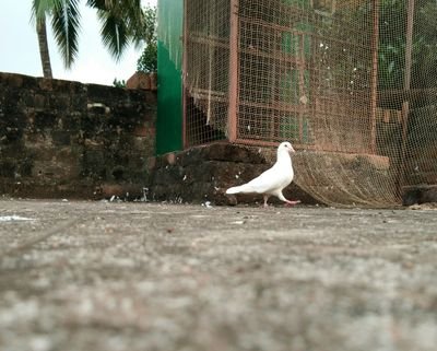 prakash_suriya's profile picture. 😋