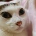 風間真 (@vwadgthglqoc5t4) Twitter profile photo 風間真 (@vwadgthglqoc5t4) Twitter profile photo