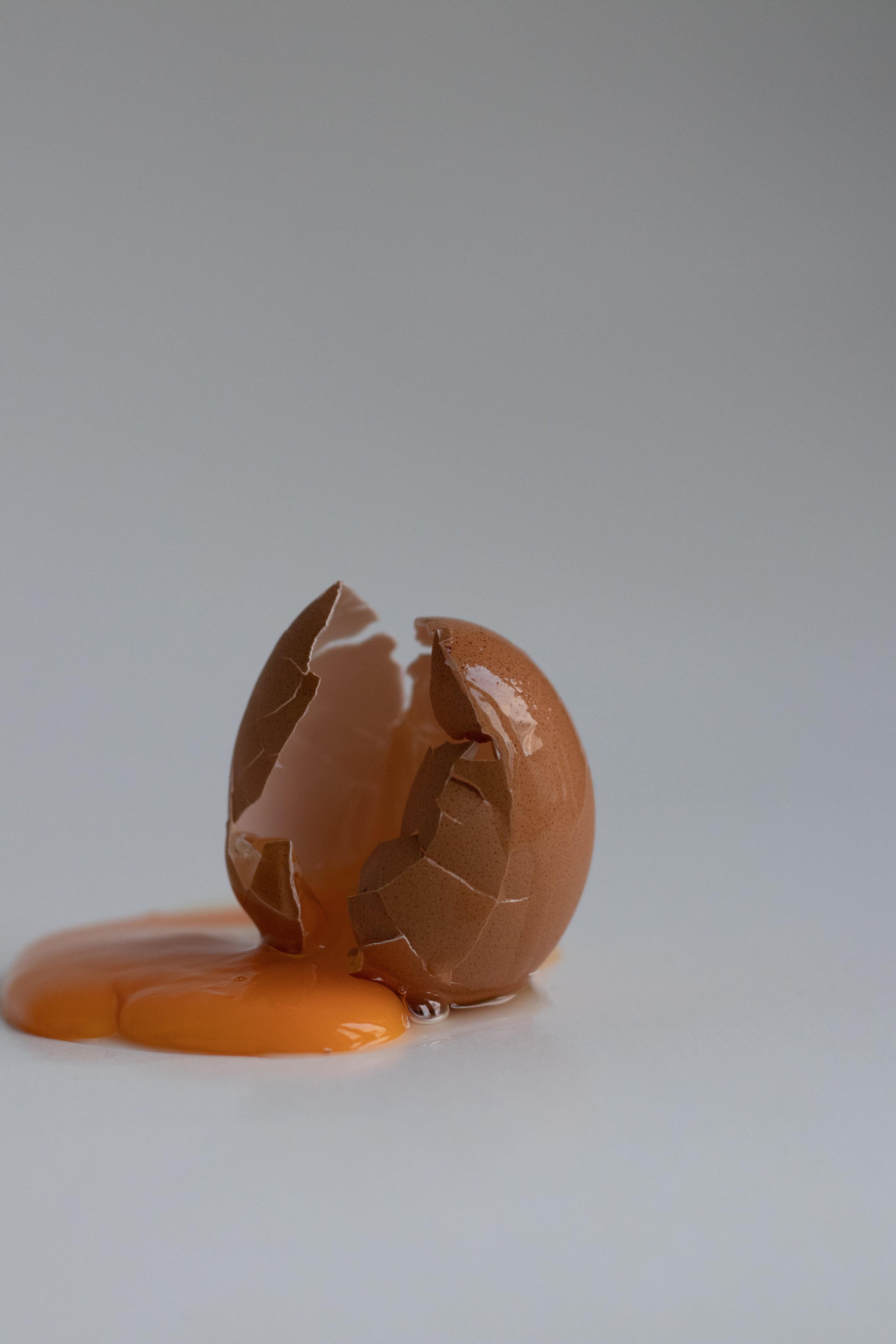 #TeamAndersElegant
Wij zijn niet lomp, wij zijn 'Anders Elegant' én fier daarop!
