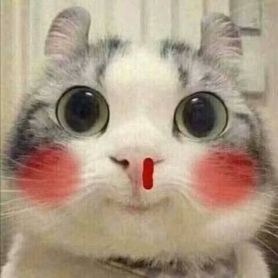 JokerSai9's profile picture. 