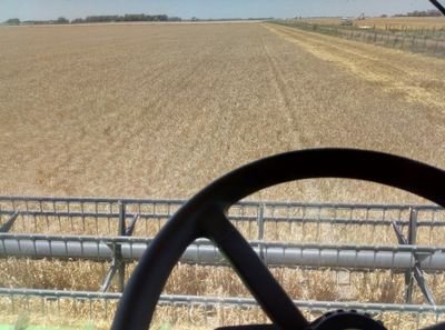 Diego67172109's profile picture. Productor agropecuario
