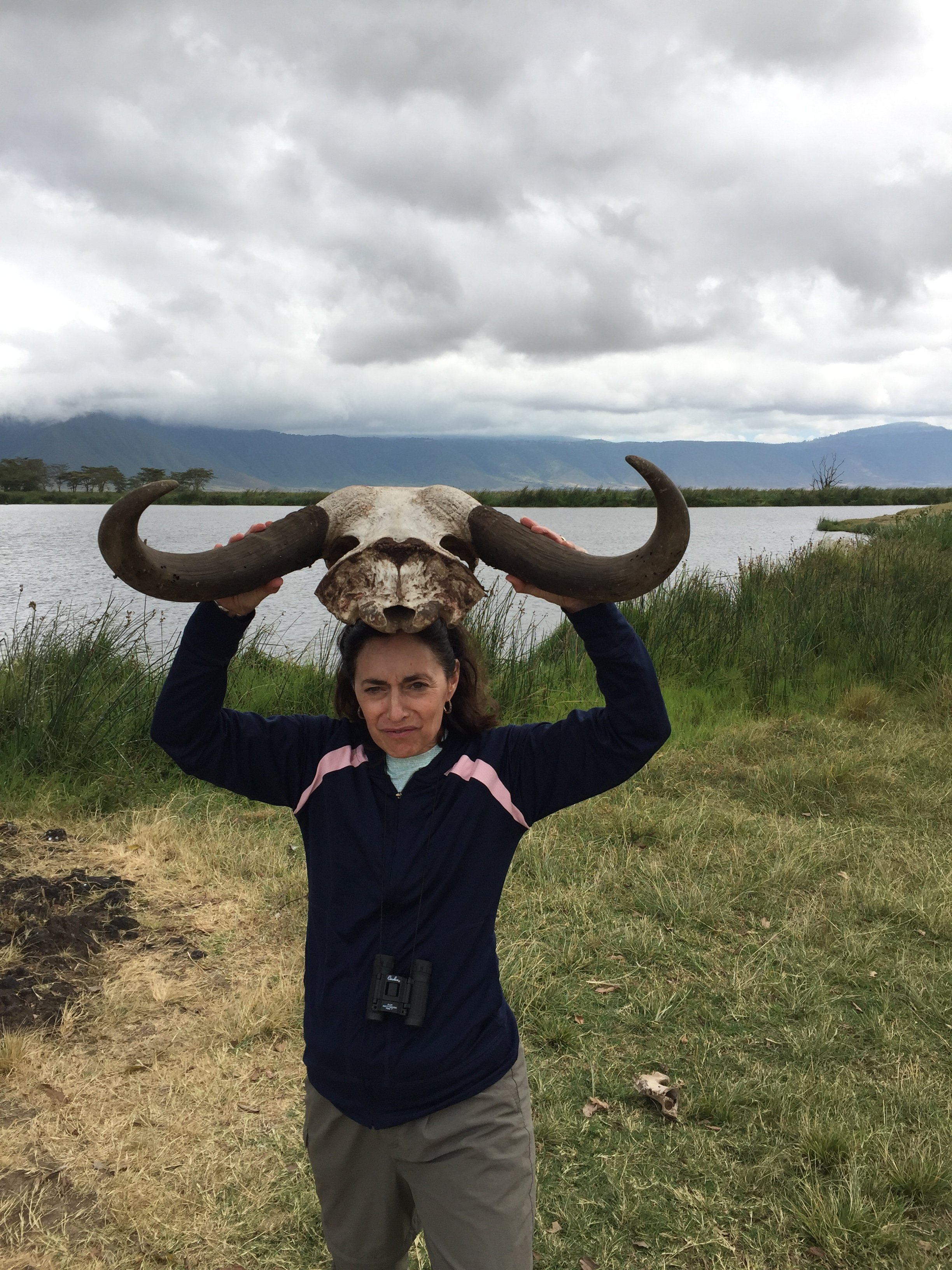 TerriAn56810303's profile picture. 