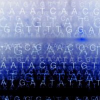 De Pietri Tonelli Lab (@mirnalab_iit) Twitter profile photo