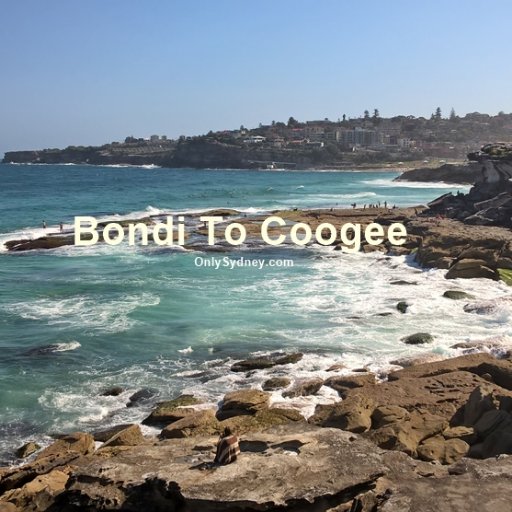 Bondi To Coogee