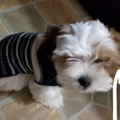 EricGre53428894's profile picture. News Technology