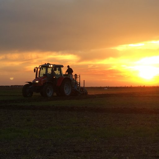 Senior Research Manager in the grains industry. Views are my own.