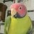 birdielou3733's avatar
