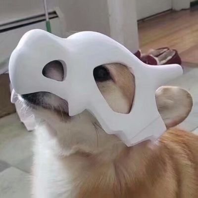 SilverDarknight's profile picture.