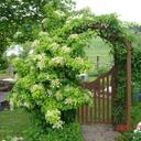 James Hitz - @Onmylastleg - Twitter