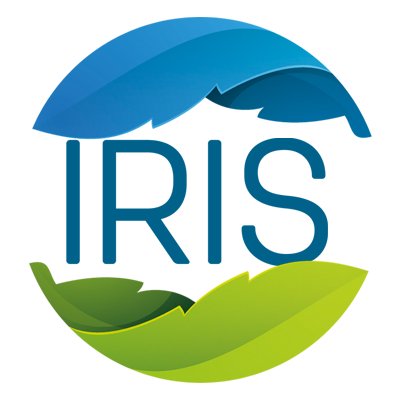 IRIS aiuta le aziende a diventare resilienti al cambiamento climatico, individuando misure per contrastare gli eventi climatici di portata straordinaria.