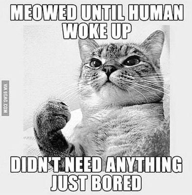 Hev41847325's profile picture. 