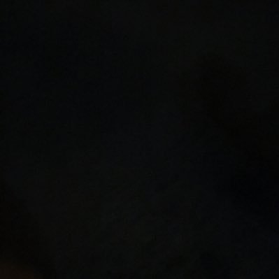 WLPLyn's profile picture. 