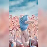 mGacqyy (@gacqyy) 's Twitter Profile