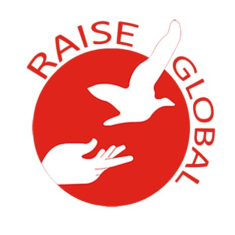 Raise Global is a unique business consulting and market research firm.