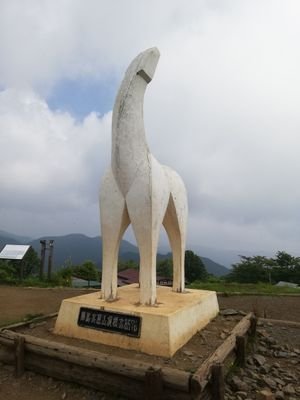 ardbek's profile picture. 