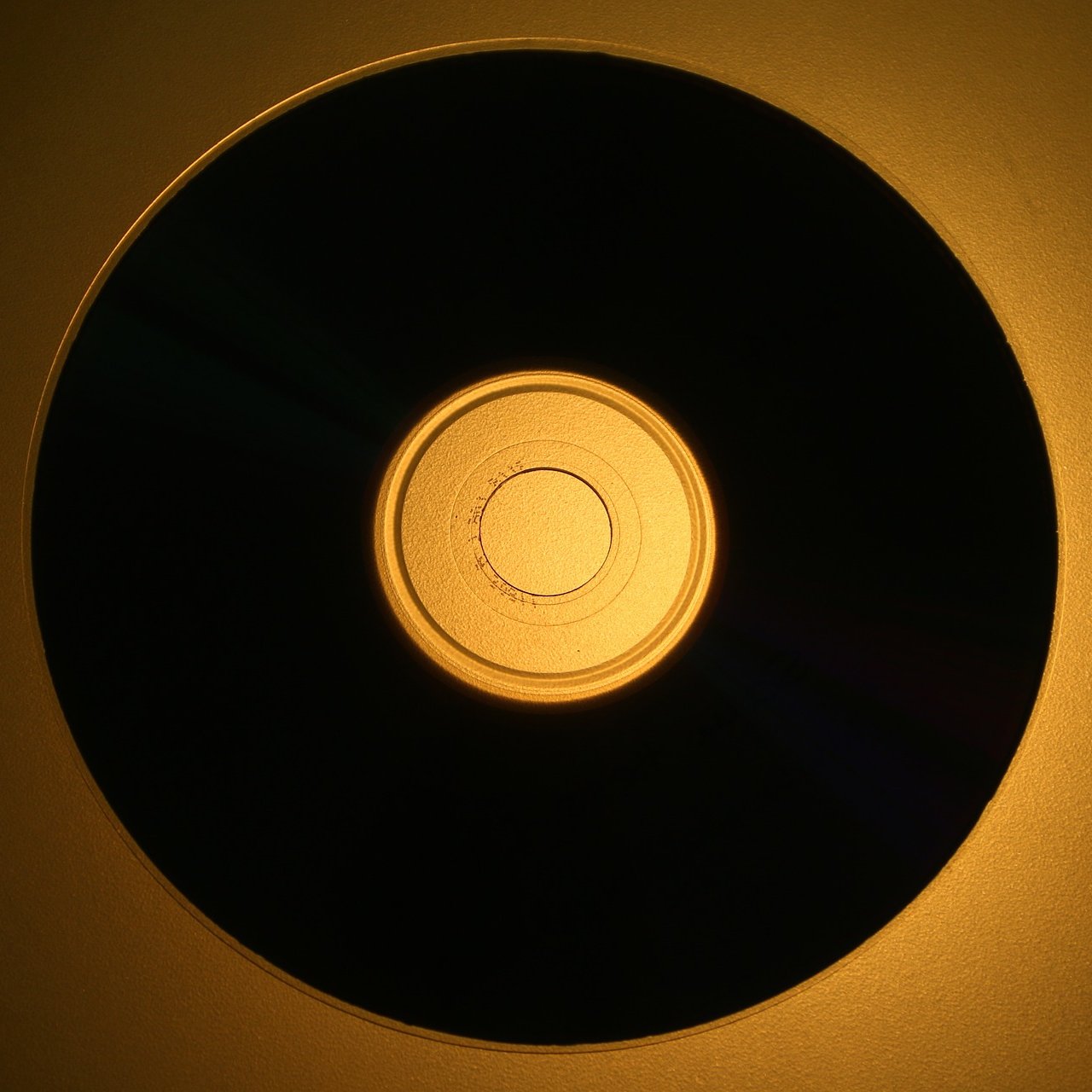 GualaMula's profile picture. College project