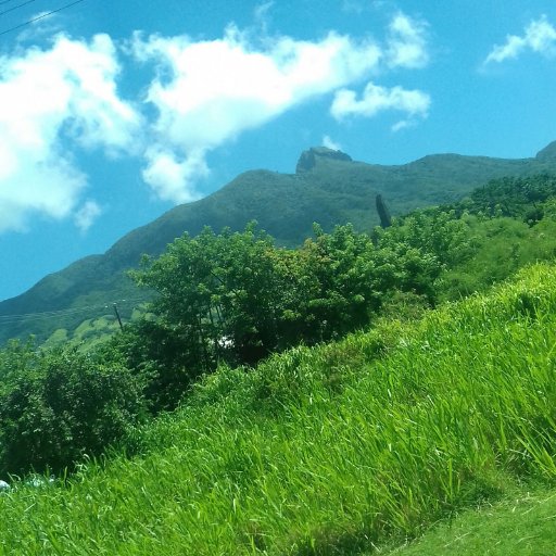 delldells82's profile picture. Mum to two, serial moaner and a little bit phychic.