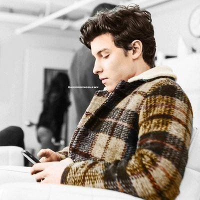 soy mendesarmy desde los 8 ...años...desde ese momento supe que shawn era el ídolo perfecto..💙me ha ayudado en muchos casos ha sido una gran inspiracion.💙🎸