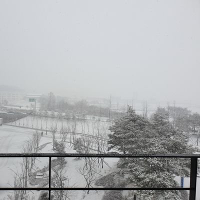 sanghyun617's profile picture. 