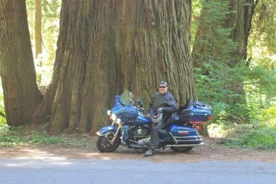 GuloGulo2728's profile picture. 