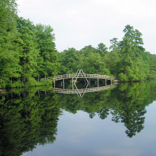 South Jersey YMCA Camp dedicated to youth development, healthy living, and social responsibility.