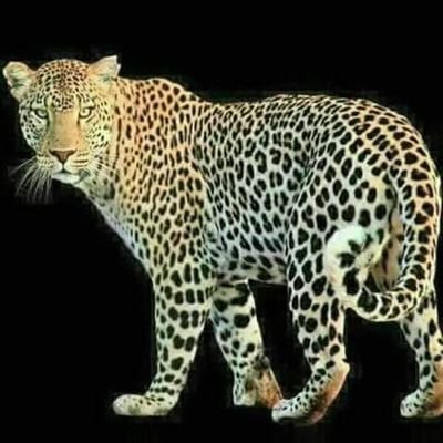 KhuluZakhele's profile picture. Entertainment Music