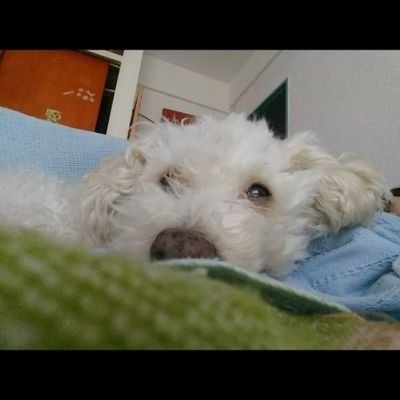 Vana663's profile picture. HAY DOS COSAS INFINITAS: EL UNIVERSO Y LA ESTUPIDEZ HUMANA, Y NO ESTOY SEGURA DE LO PRIMERO.