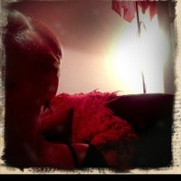 Elena Vaughan (@stigmastudyie) 's Twitter Profile