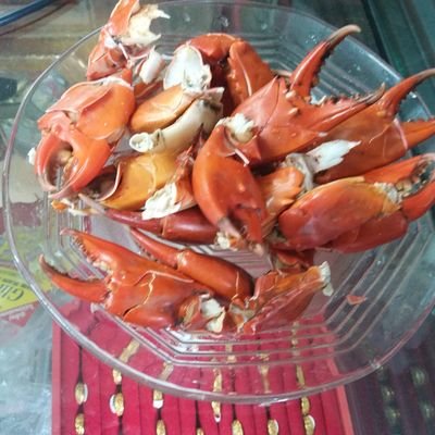 nLrzsDngWcPFbT5's profile picture. 