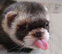 Kamloop85320229's profile picture. 