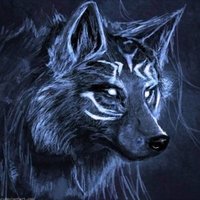 Breach (@traderbreach) 's Twitter Profile