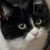 BONK (@fictionvr) Twitter profile photo BONK (@fictionvr) Twitter profile photo