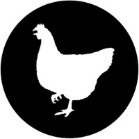 Red Hen Press(@RedHenPress) 's Twitter Profile Photo