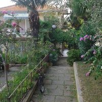 Kamil Kalkar (@kalkarkamil) Twitter profile photo