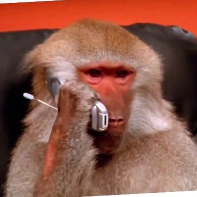 qeinfinityy's profile picture. 