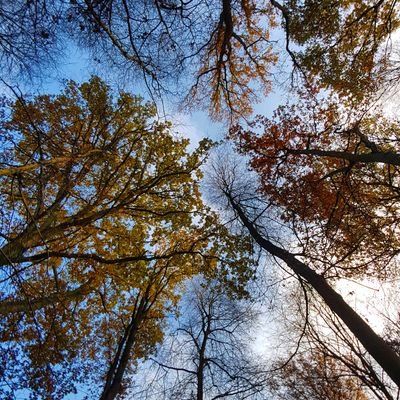 Responsable de Territoire Nord - Ouest
/ Bois Énergie France 🌳🌲
Approvisionnement en bois énergie
@Dalkia
#BoisEnergieFrance #dalkia #wearedalkia