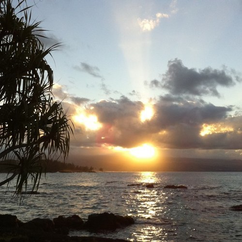 iriehayn420's profile picture. 