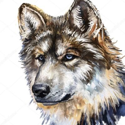 davichiniX's profile picture. Amante de la lectura,cine e historia.

Enamorado de España, sus ciudades, pueblos y costumbres.

NO promesas vacías, no a la izquierda